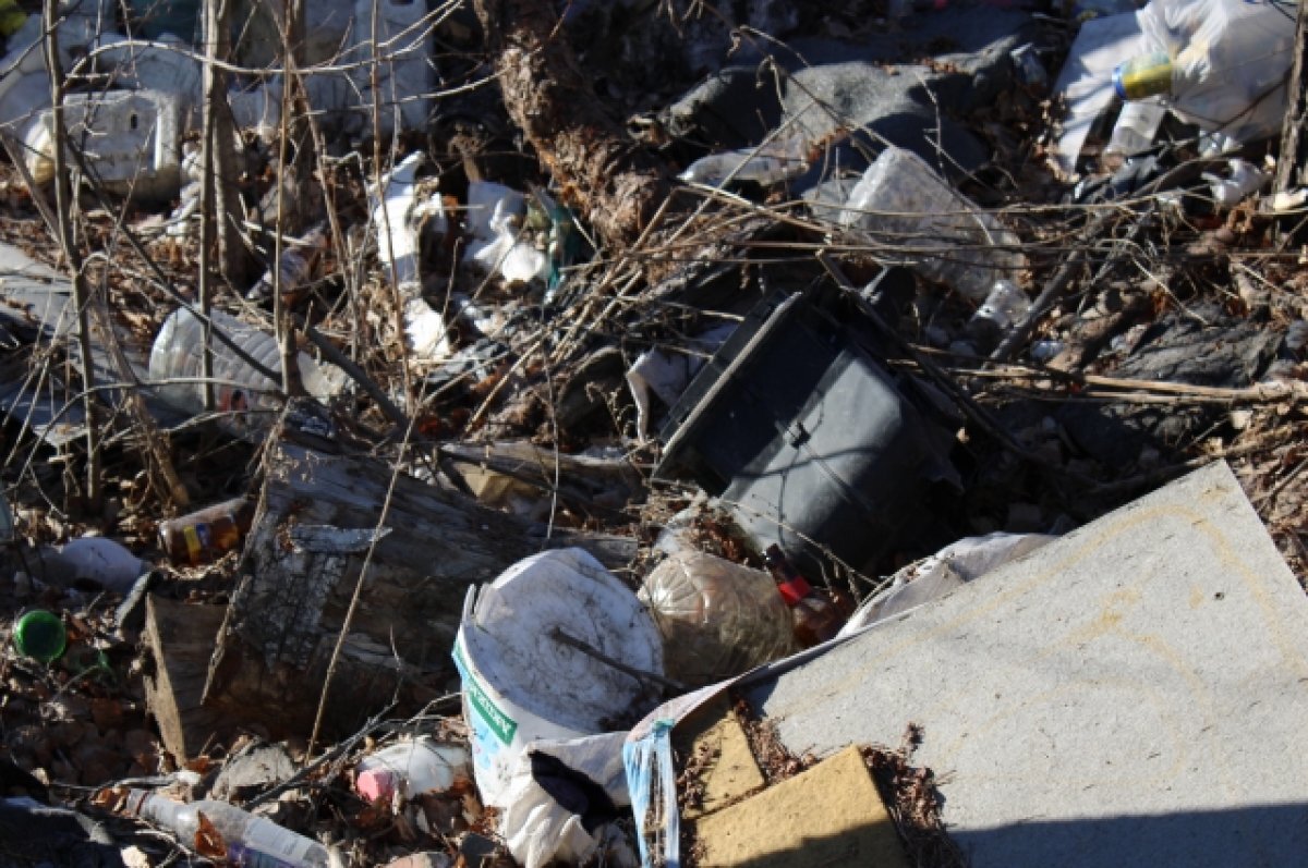    Пять свалок ликвидируют в Нижегородской области до конца 2023 года