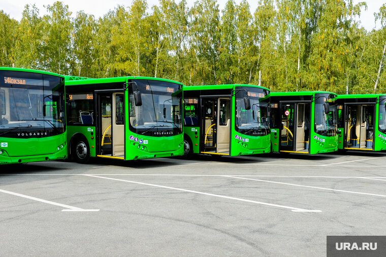    На запуск новых маршрутов власти потратят 20 млн рублей