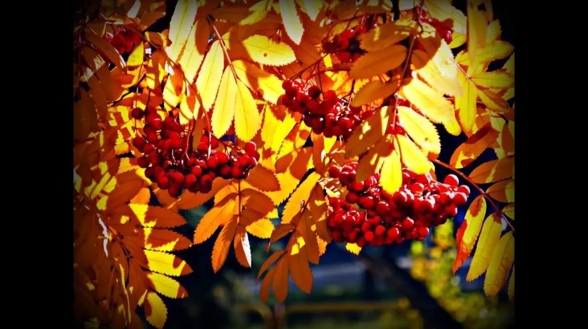 Фото: mixyfotos.ru