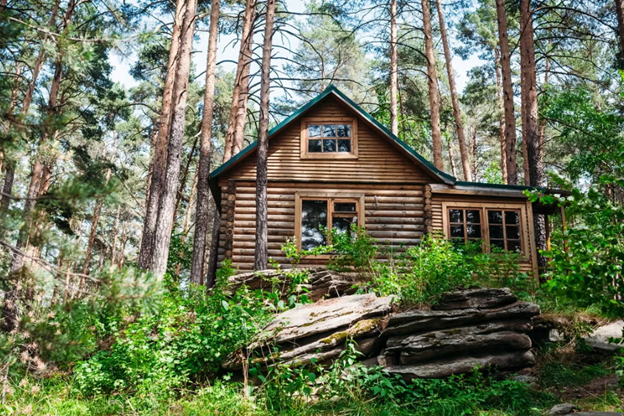 Так уж получается, что когда мы появляемся на свет, Бог каждого из нас наделяет каким-то даром. У Николая этот дар проявлялся в любви к животному, природе с самого раннего детства.-2