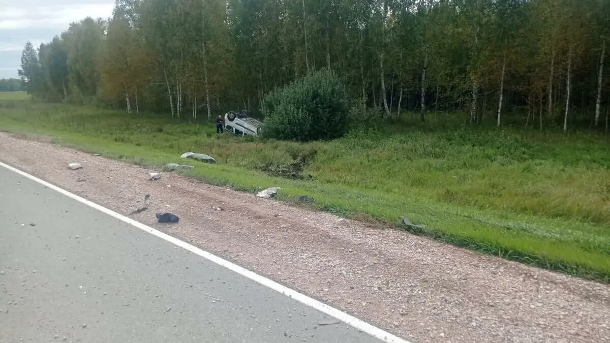 Фото: ГИБДД Новосибирской области