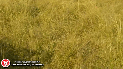 От гиены лучше убежать, а то себе дороже.