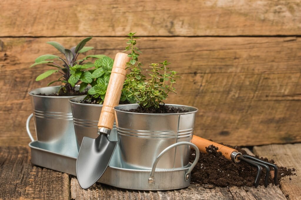 https://www.installitdirect.com/wp-content/uploads/2017/05/container-gardening-pots-1024x683.jpg