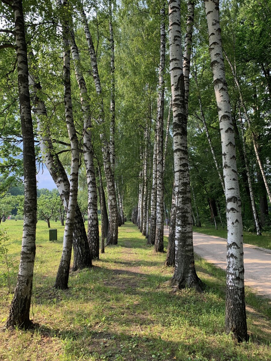 «Прешпект».