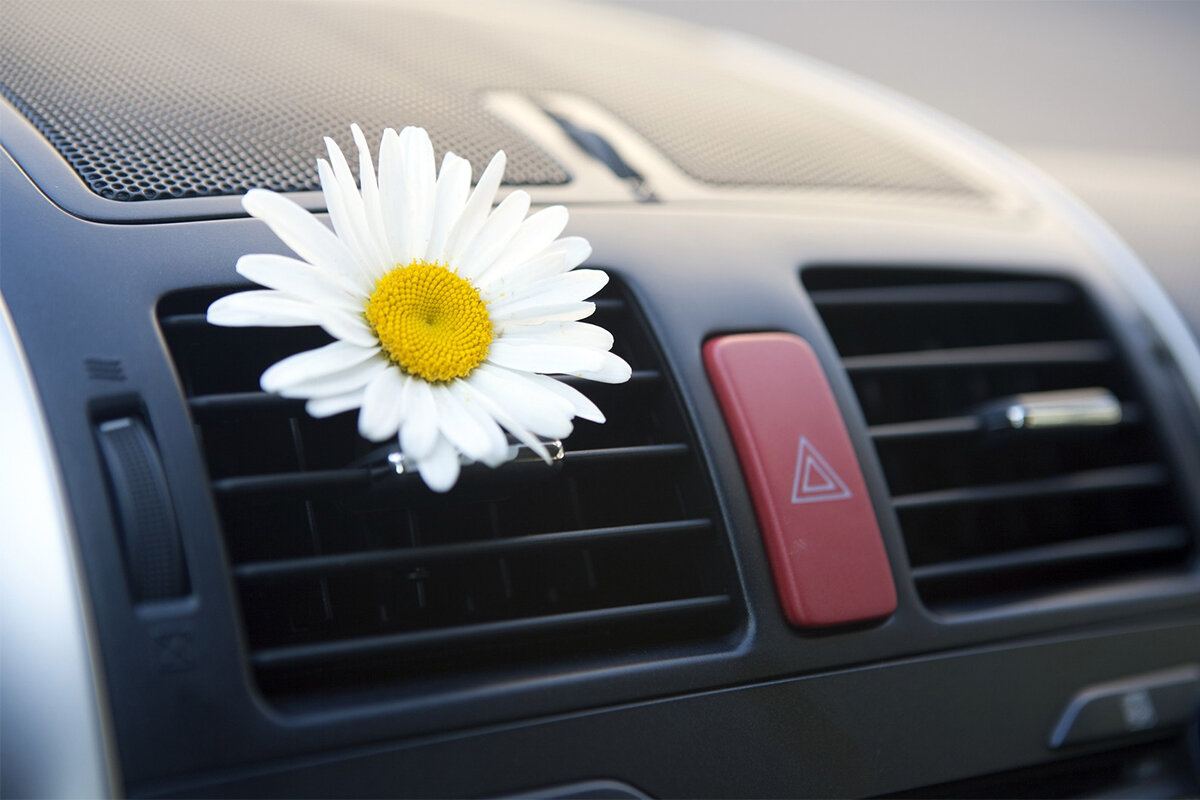 Необходимость дезинфекции испарителя