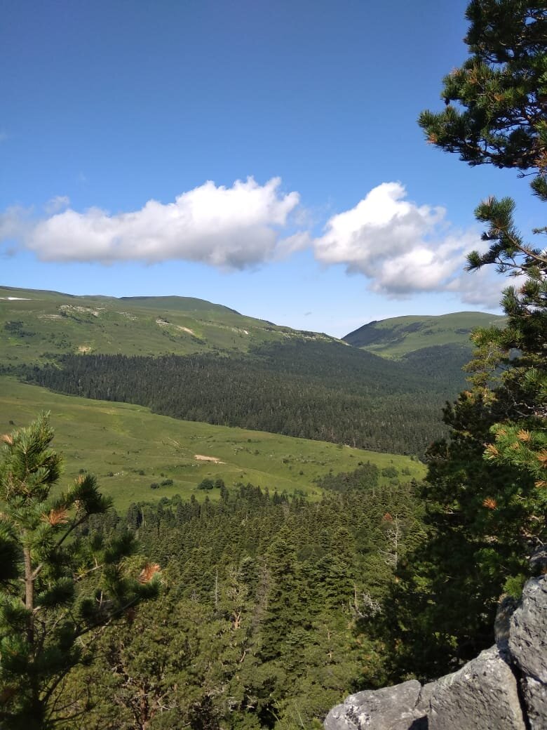 Альпийские луга и заповедные леса Лаго-Наки.