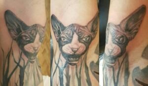 Среди домашних питомцев татуировки наносят не только на сфинксов. Они могут быть украшением «голых», гладкошерстных собачек. Важно, что тату накалывают животным, не причиняя им боль. Обязательно применяется анестезия.
