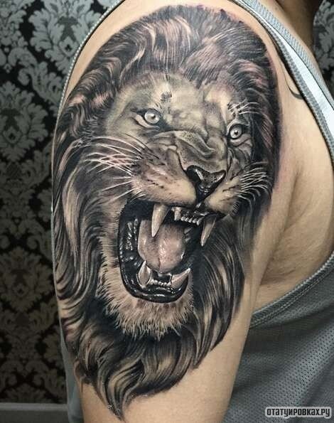 Значение о котором вы вряд ли знали: татуировка лев