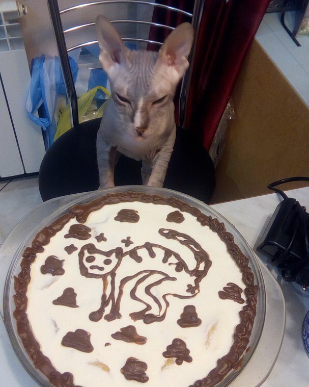 Хозяйка, это я? Что я делаю?! Ты на что намекаешь?