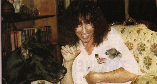 Из открытых источников