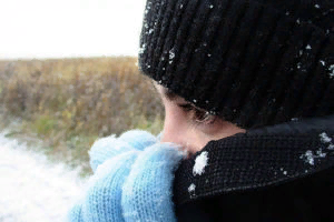 Фото: из открытых источников