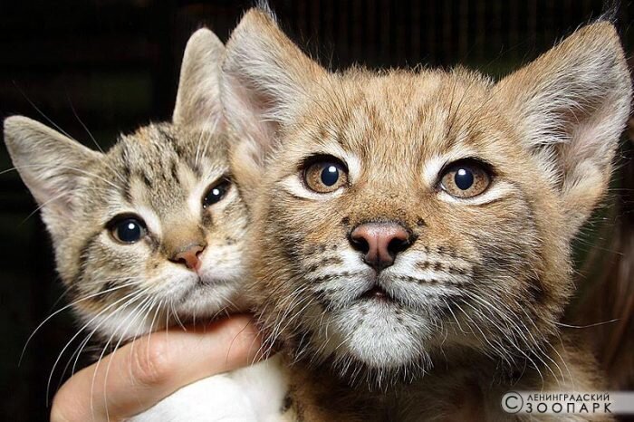 Источник: paperpaper.ru