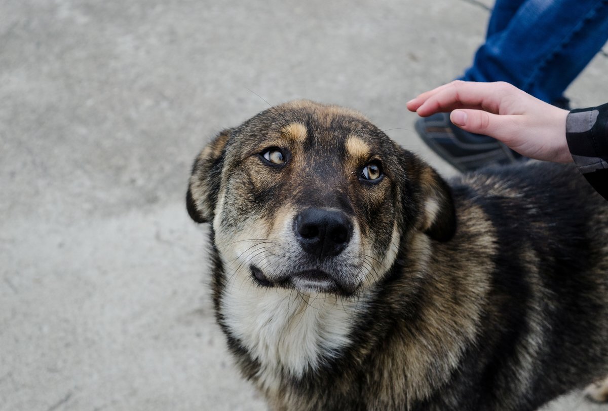 Взято с Яндекс.картинки