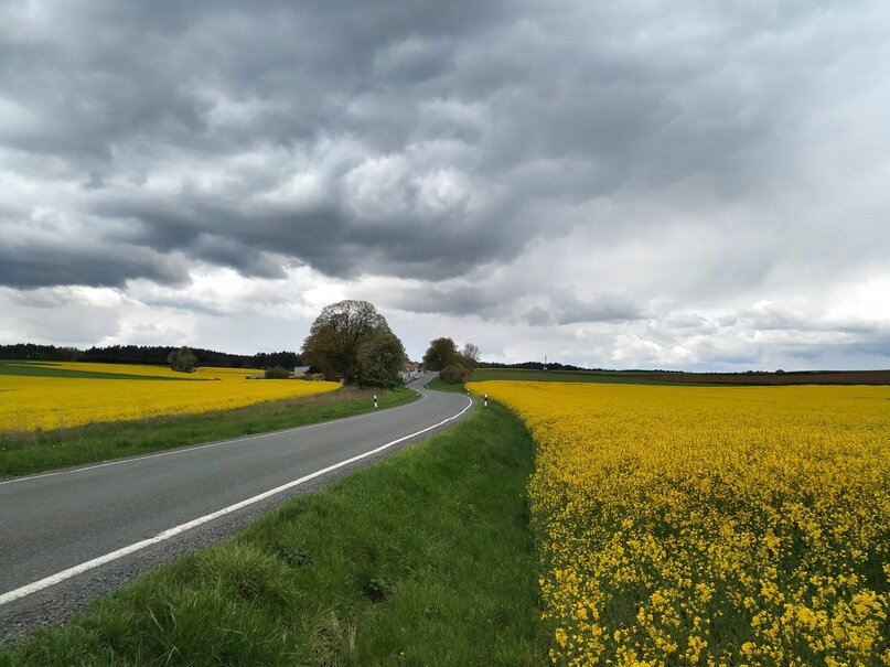 Региональная автомобильная дорога