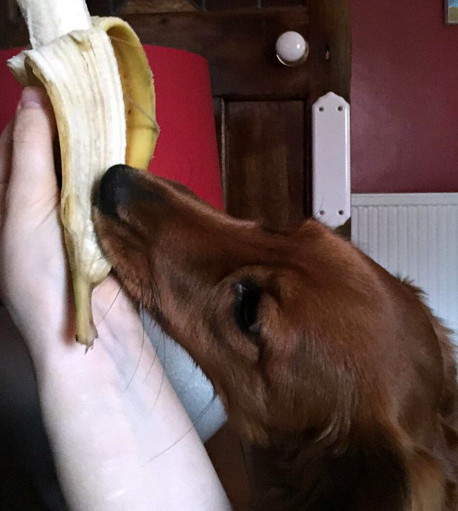 Дай мне хотя бы шкурку, жадюга!