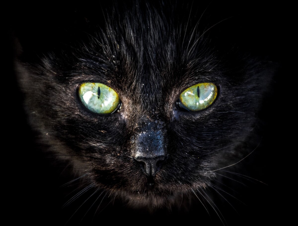 Фото Yannick Menard