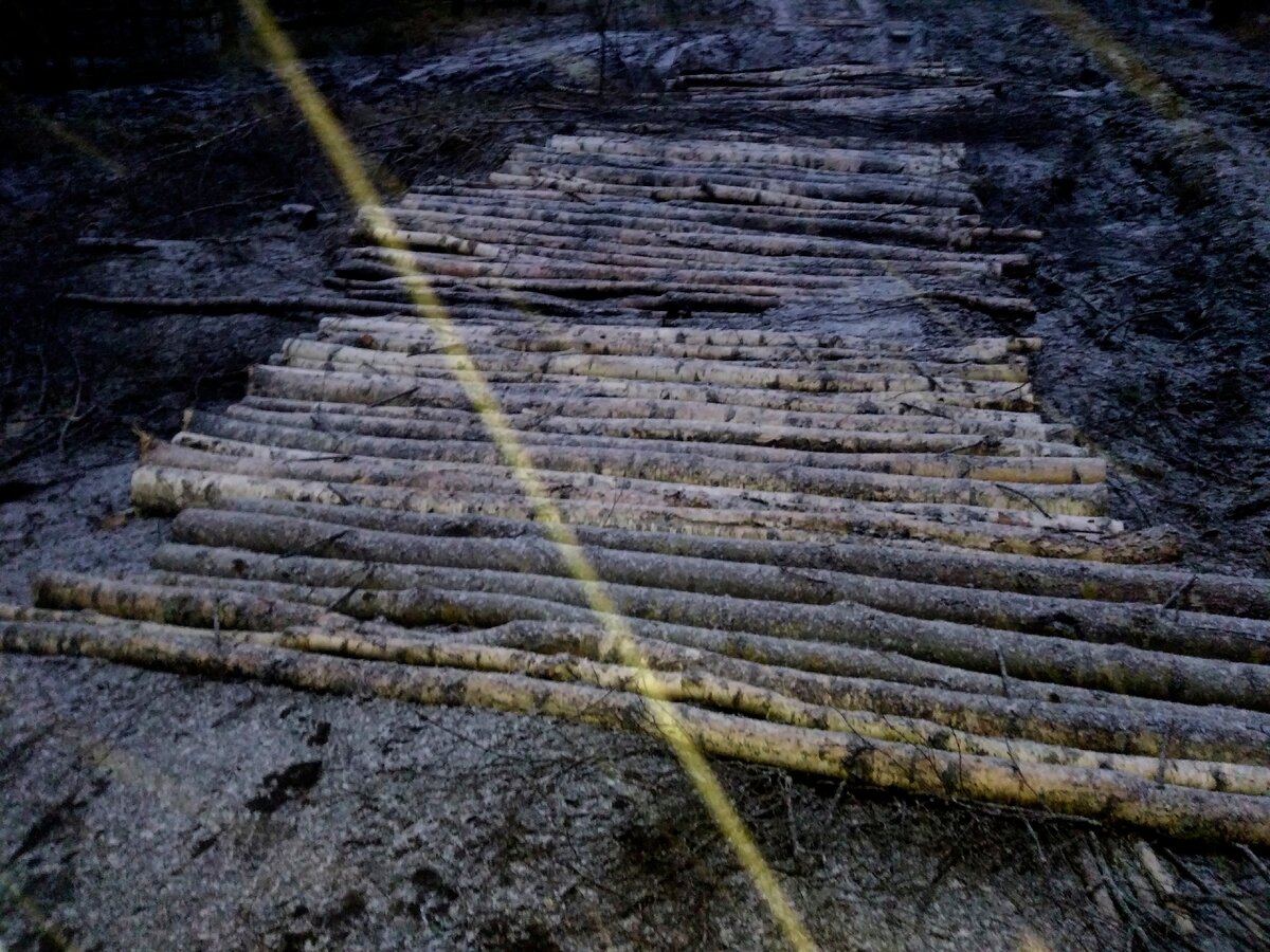 Даже на своих двоих временами идти было не комфортно...