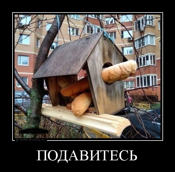 взято из открытых источников