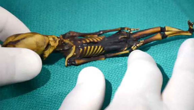 Источник: yandex/images