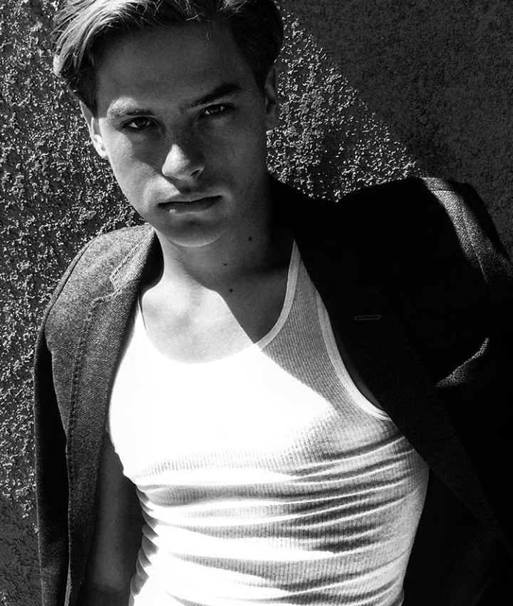 Дилан. Все  фото взято из открытых источников