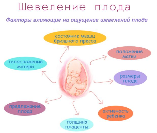 Интересные факты о беременности