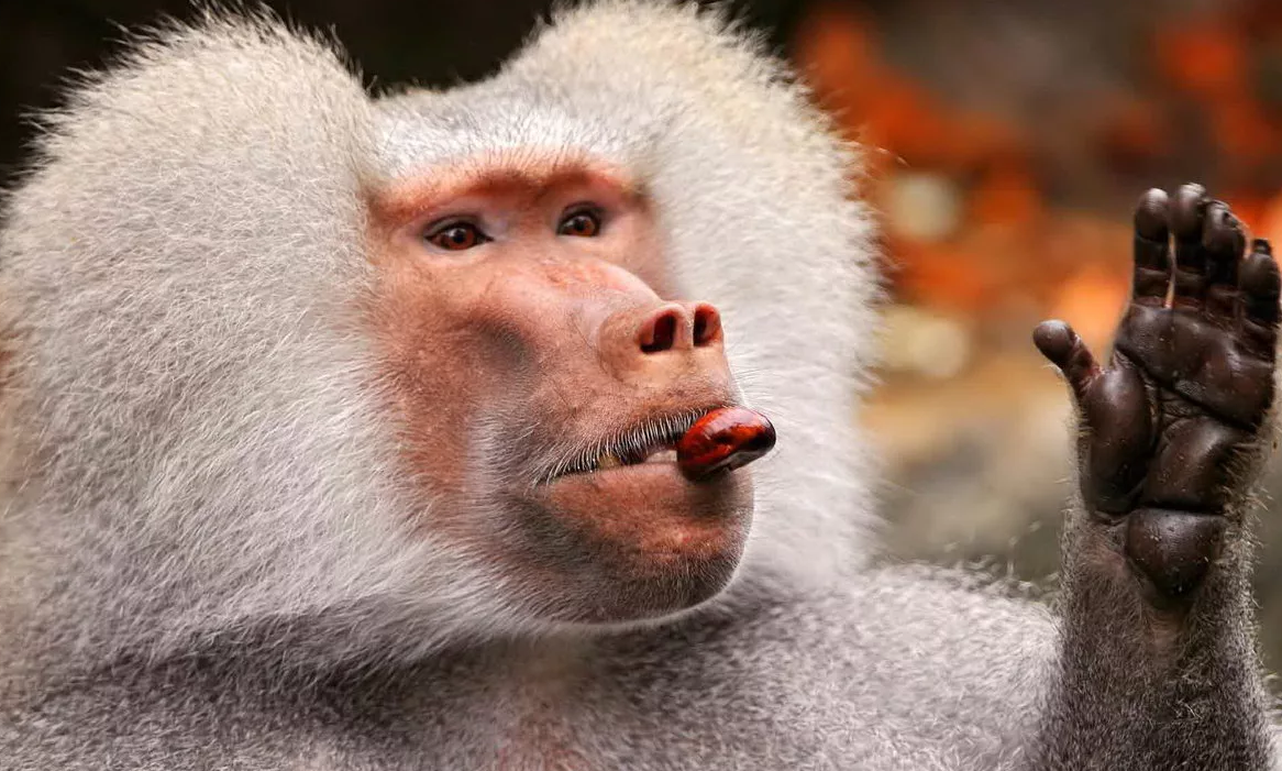 Кто за продолжение этой истории, поднимите руки!