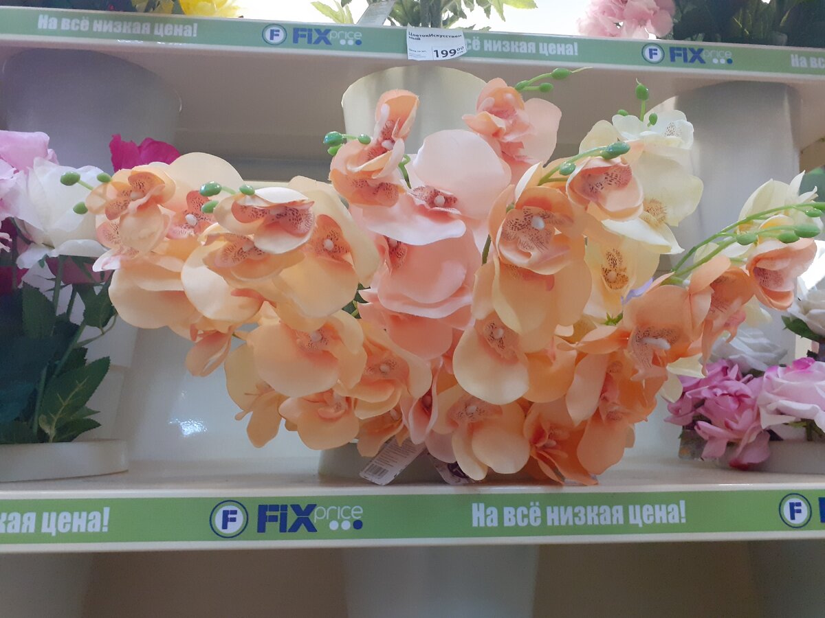 цветы для декора