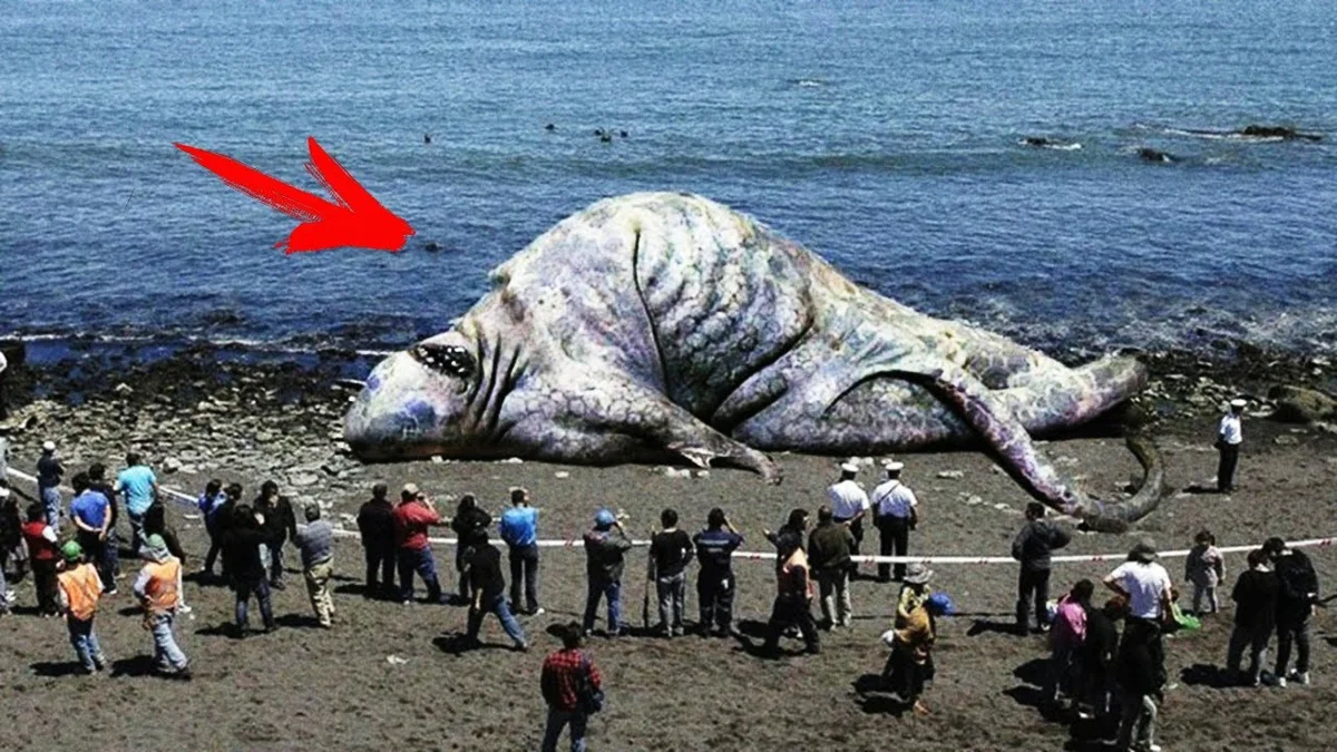 Полный неведомый. Самое большое животное. Гигантские морские чудовища. Неизвестные животные планеты. Морские чудовища реальные.