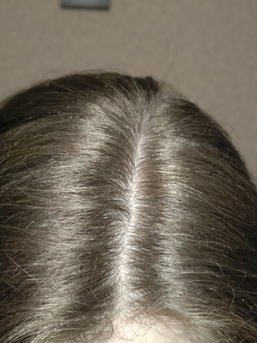 Моя грязная бошенька 