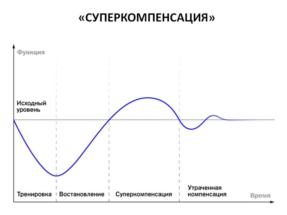 Восстановление мышц после нагрузки. Принцип суперкомпенсации график. Фазы восстановления суперкомпенсация. График суперкомпенсации после тренировки. Фаза суперкомпенсации (сверхвосстановления)