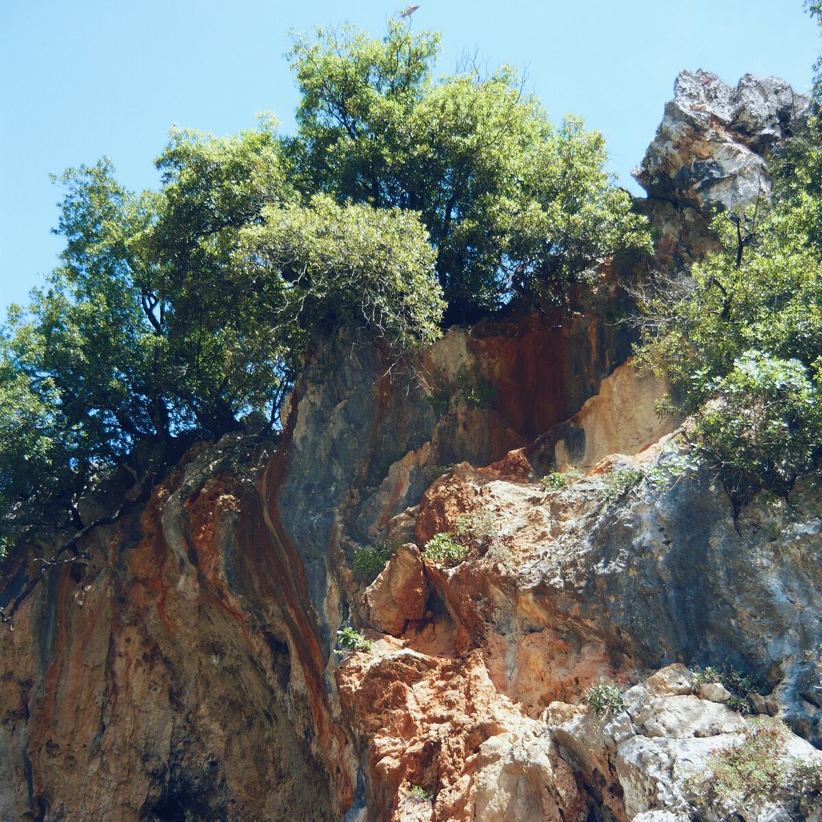сочетание скал и зелени