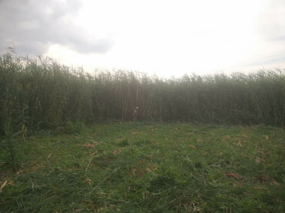 Первая обработка. Во-о-он я маленький какой...