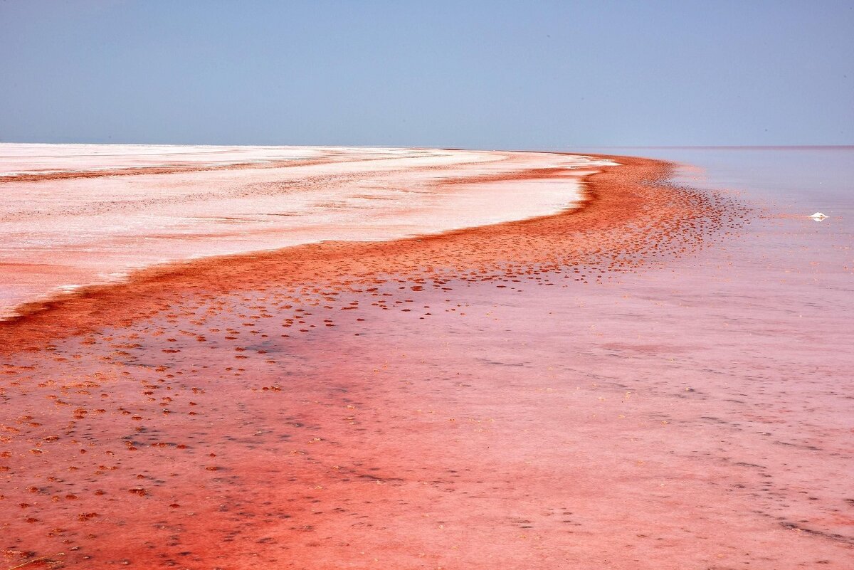 Dunaliella Salina озеро