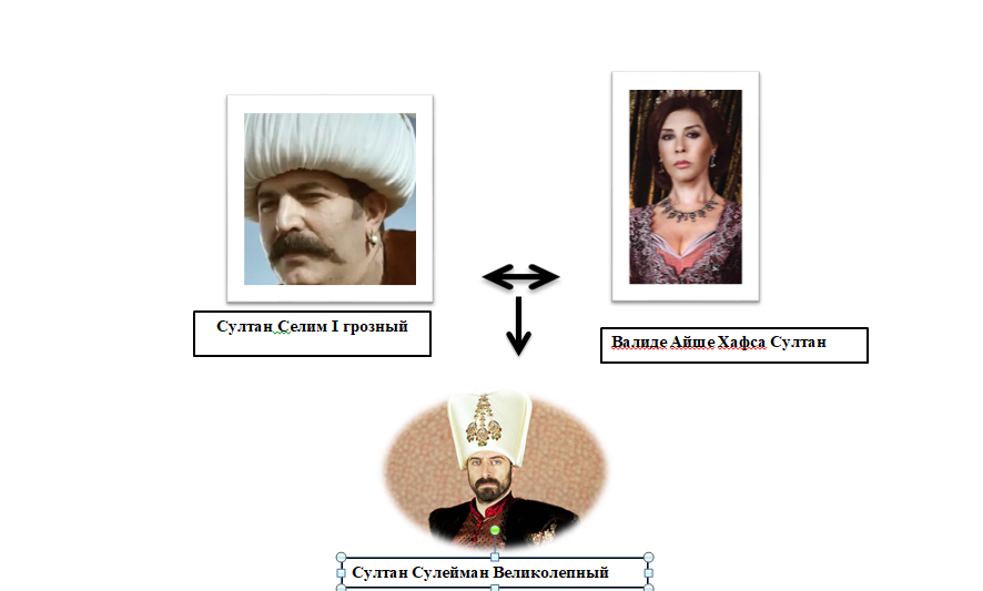 Родословная султана сулеймана великолепного схема