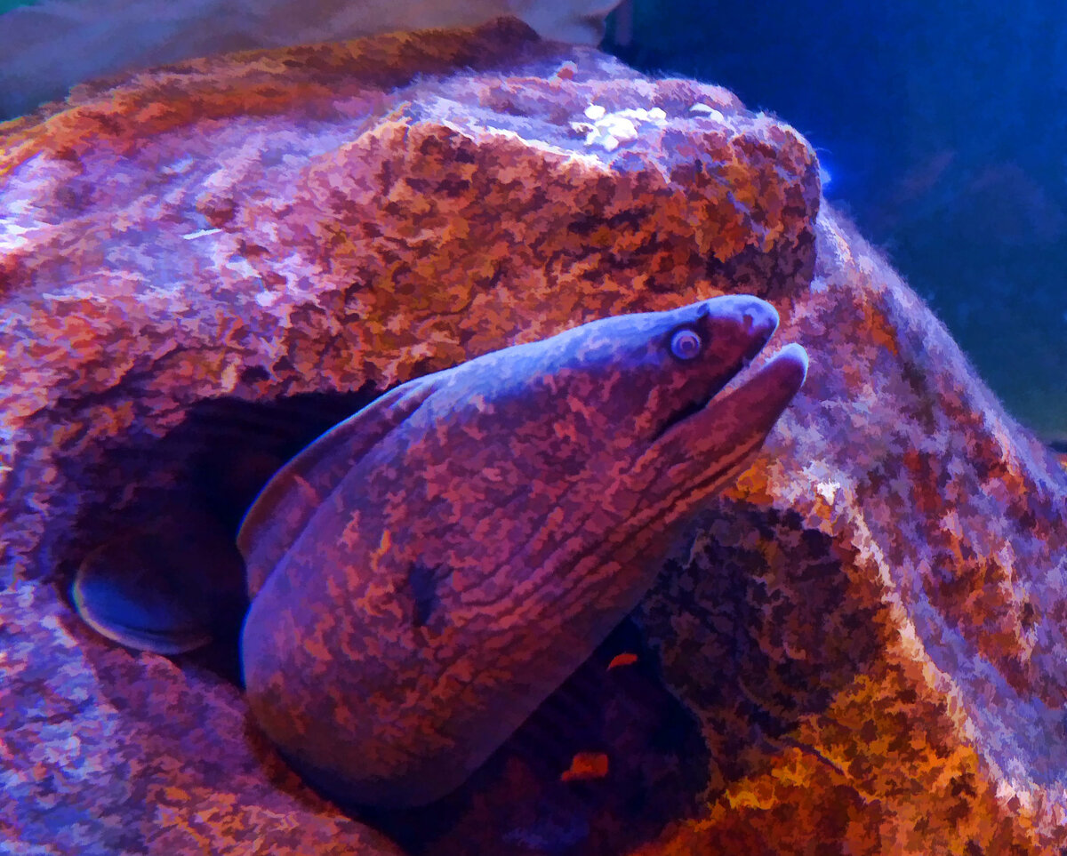 Фото с сайта: publicdomainpictures.net