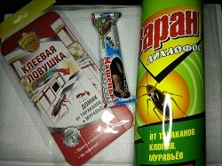 Фото автора. Теперь и деньги на защиту тратить приходится.