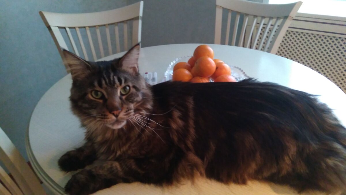 Фото Князев Геннадий