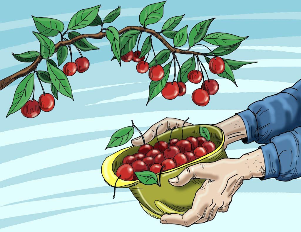 Иллюстрация Александра Курочкина