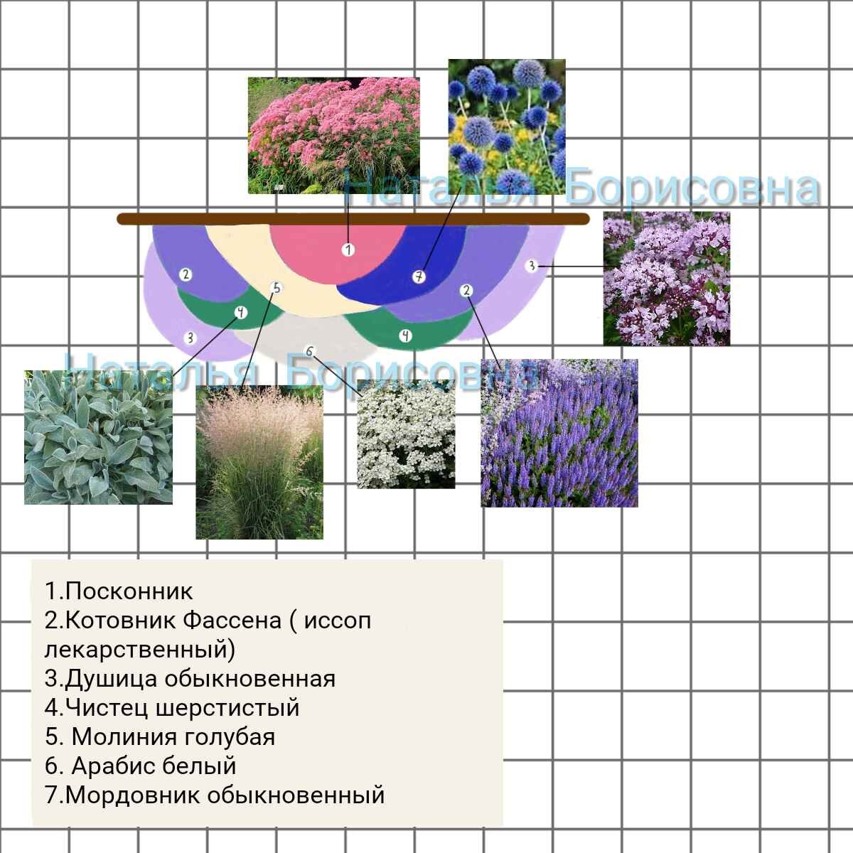 Цветник "Роскошный"