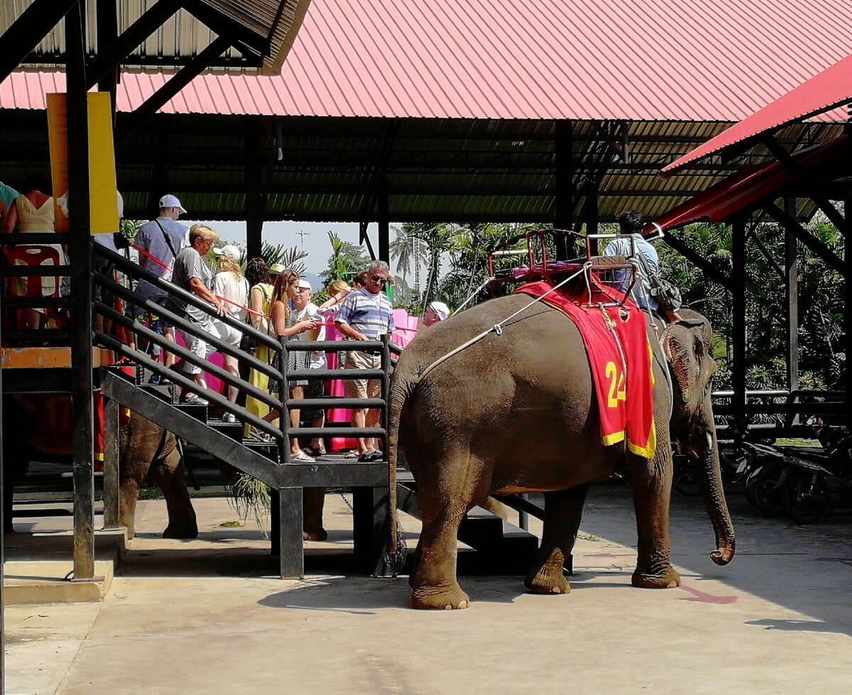 Таиланд. Фото автора