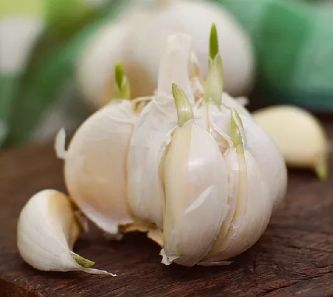 фото из инета