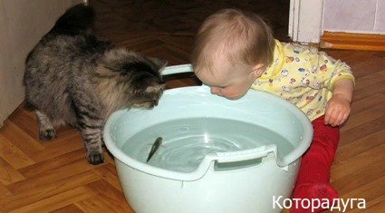 Источник: pinterest.com