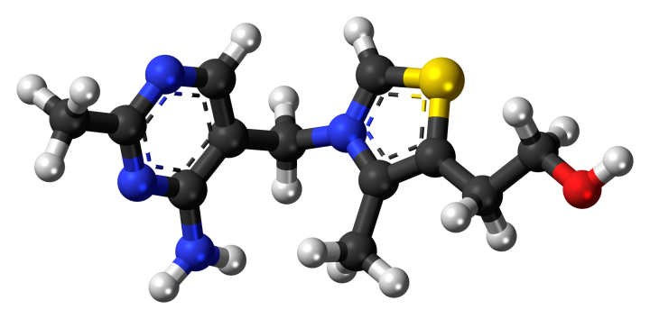 Модель молекулы тиамина, известного также как витамин B1  Лечение алкоголизма