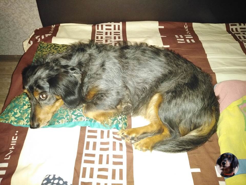 Будем благодарны, если поставите лайк и подпишетесь на канал !  Вы поможете развитию нашего канала.