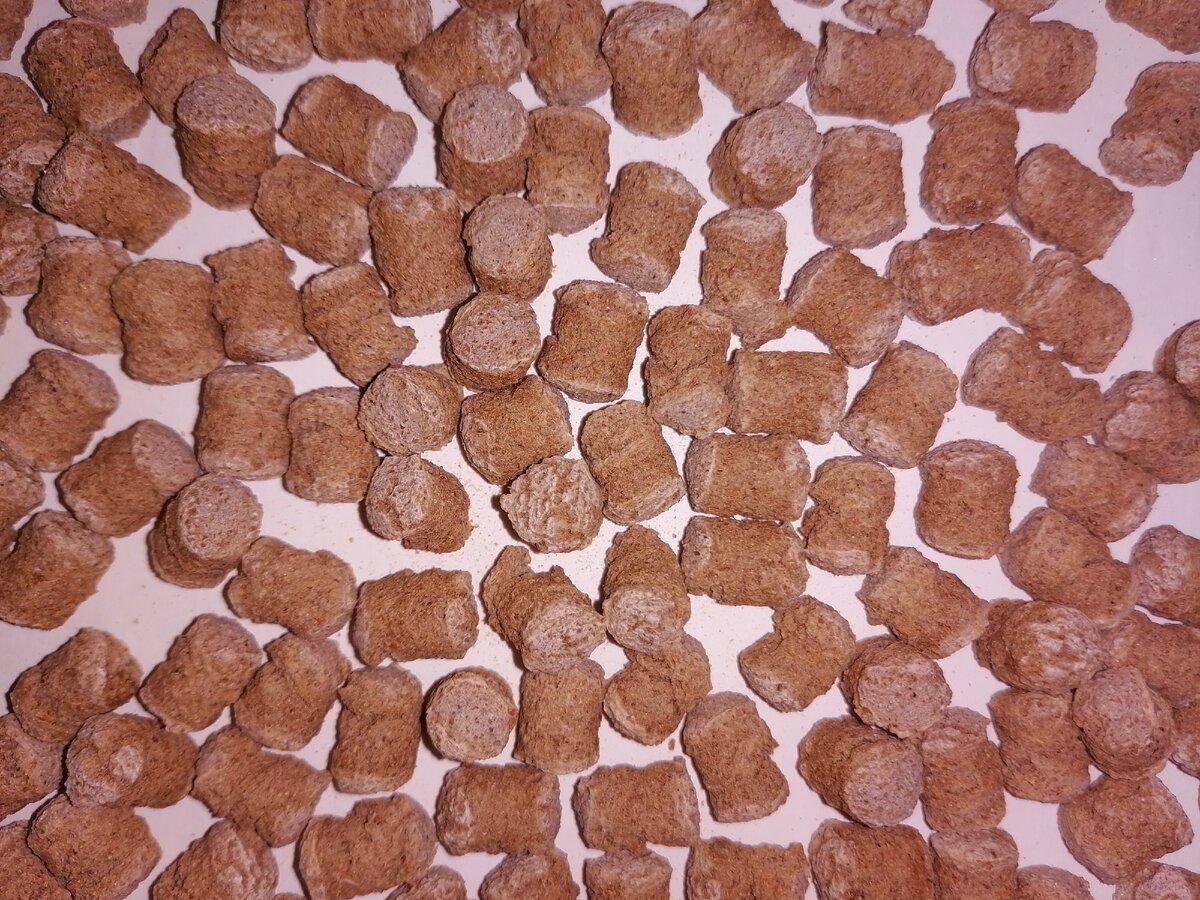 Вот в чем дело оказалось. Личное фото. 