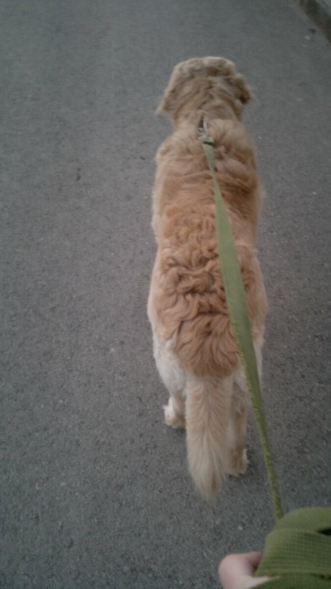 Следуй за мной!