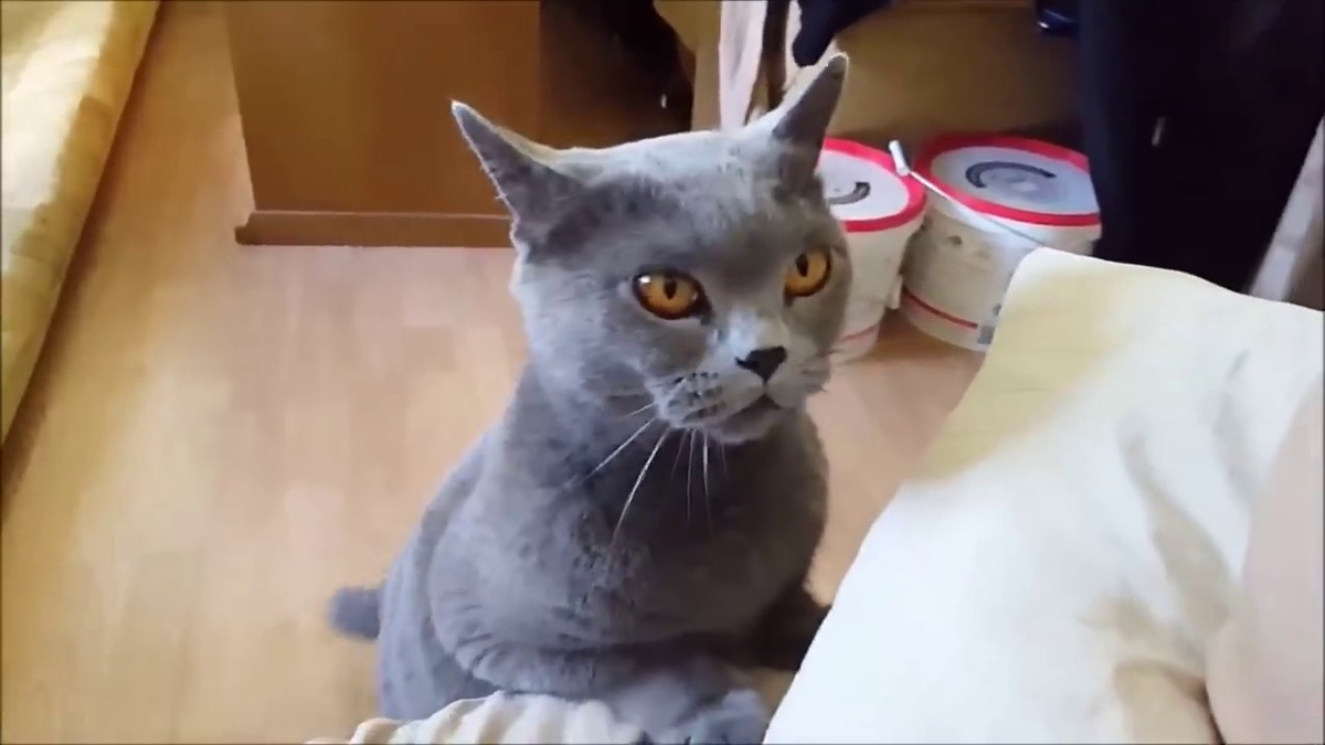 Фото из открытого источника с сайта https://www.google.com/search?q=