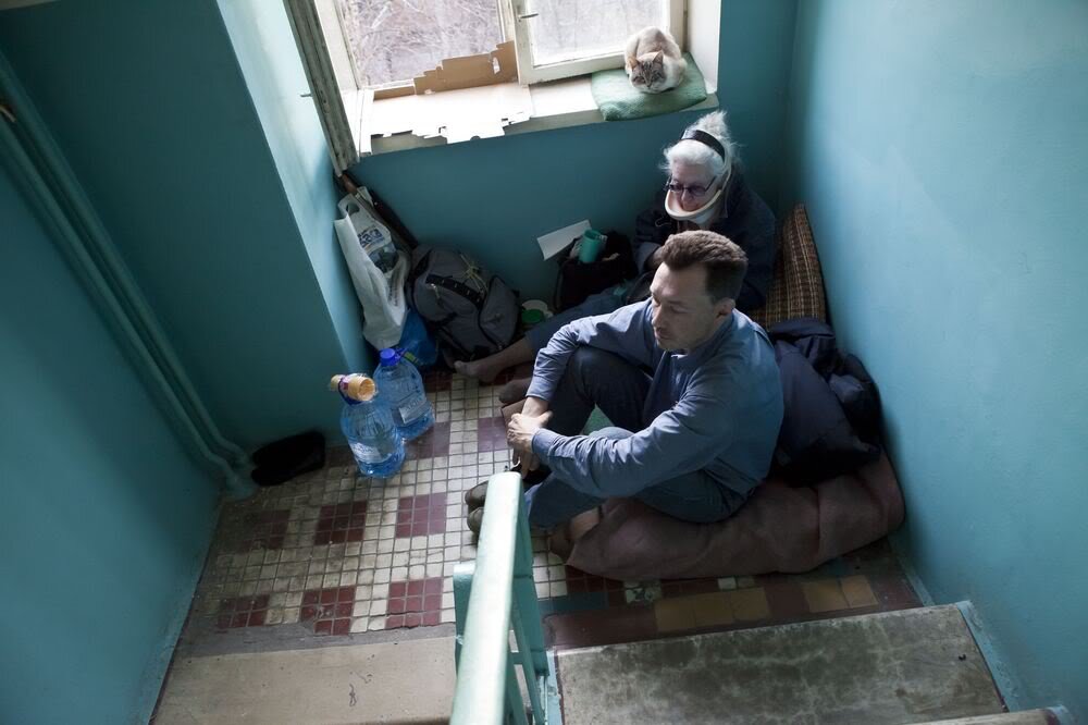 Яндекс картинки
