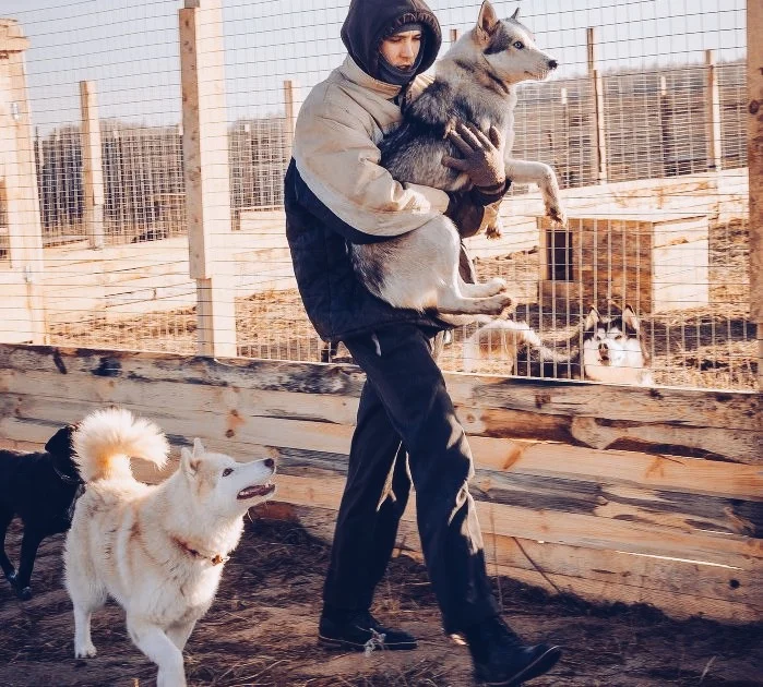 ДСС. Фотография взята из открытых источников 