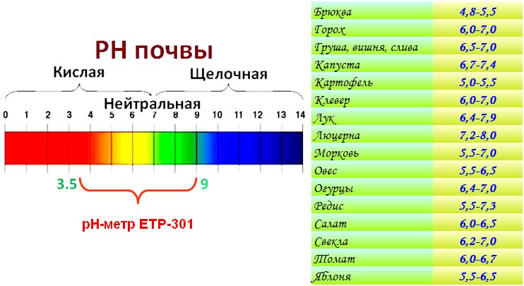 Определяем кислотность почвы в домашних условиях - 5 проверенных способов | Садовый рай 🌱 | Дзен